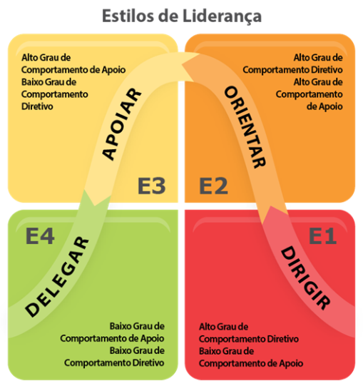 Desenvolvimento de Liderados: Como o Estilo S2 (Orientação) Impulsiona o Aprendizado