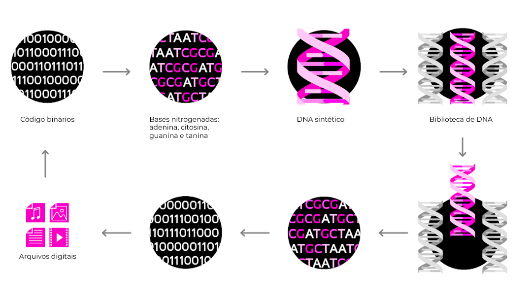 Armazenamento de Dados em DNA: Um Guia Completo sobre a Tecnologia do Futuro