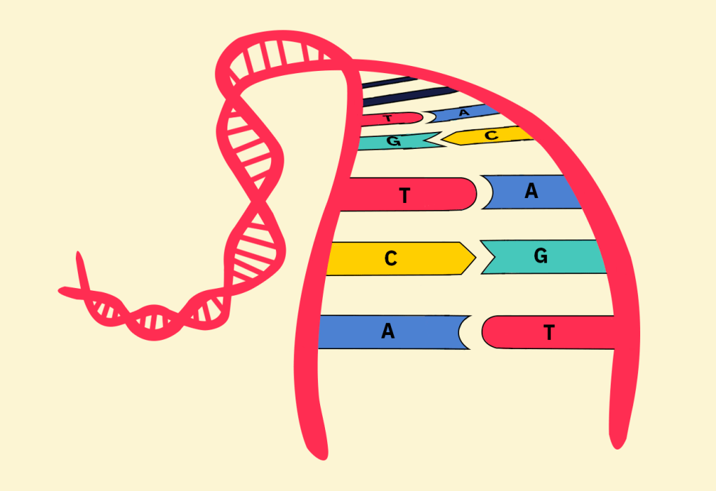DNA Storage vs. HD/SSD: Qual a Verdadeira Durabilidade dos Dados?