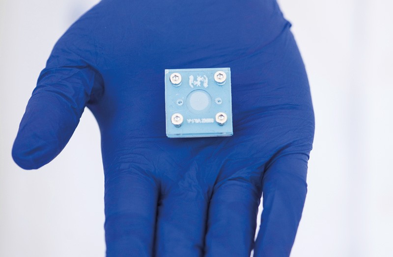 Armazenamento em DNA pesquisa