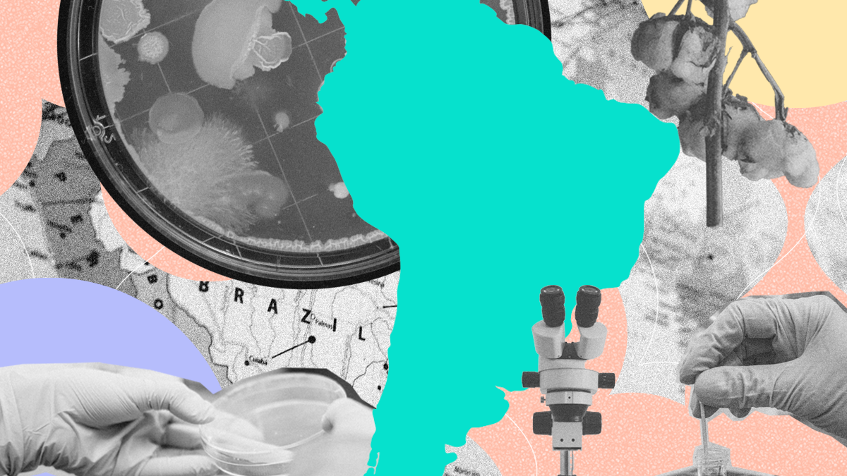 biotech e mercado financeiro