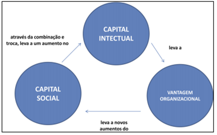 capital social da empresa