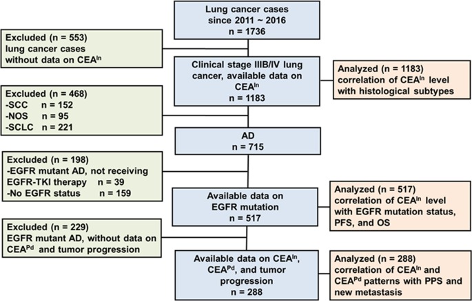 C&A Pay e Cartão C&A: Conheça as Soluções Financeiras da Rede