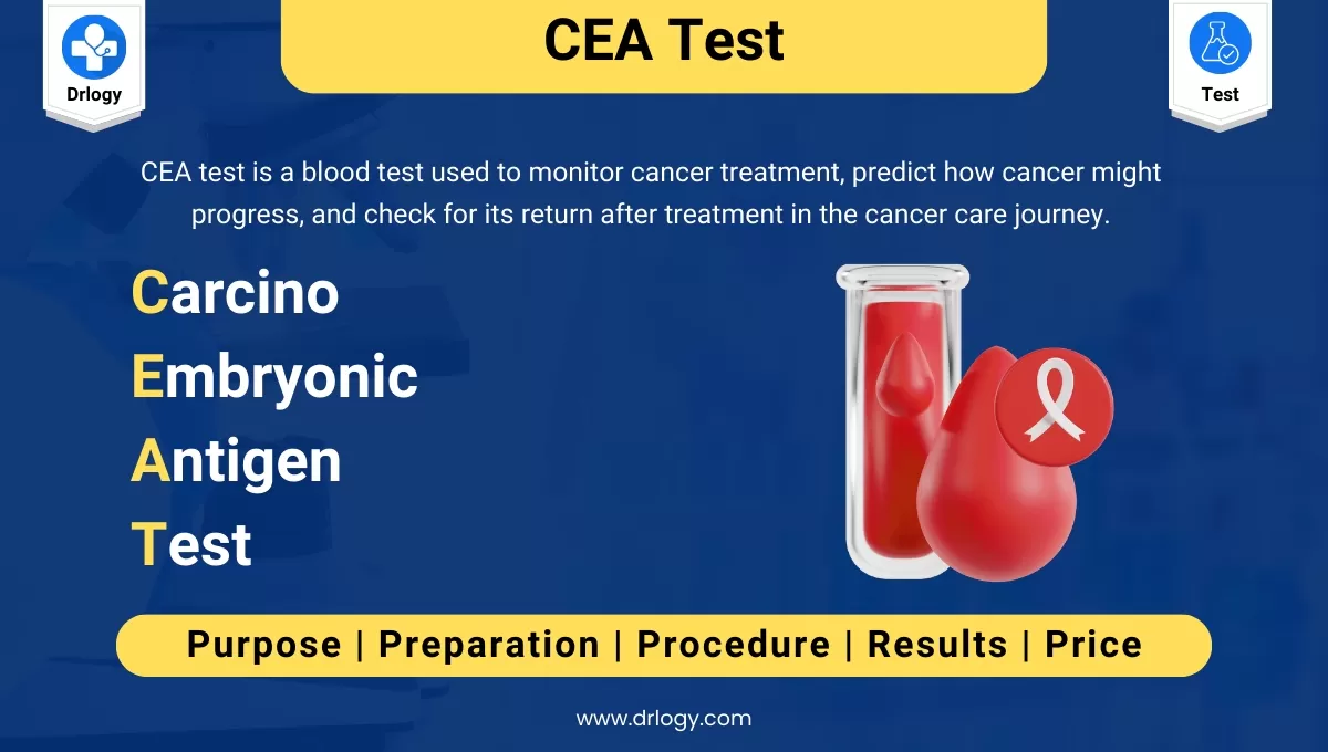 Certificação CEA: Guia Completo para Especialistas em Investimentos