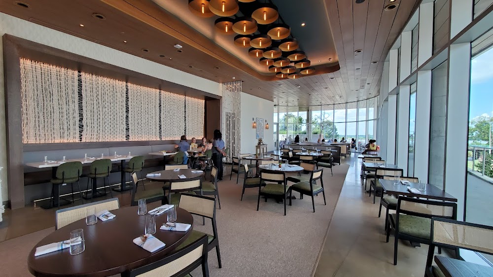 Cimas Digital: A Plataforma de Ensino Online para Profissionais da Saúde