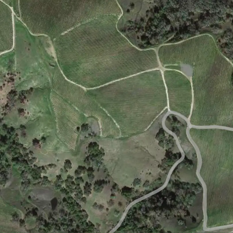 Cimas Digital: A Plataforma de Ensino Online para Profissionais da Saúde