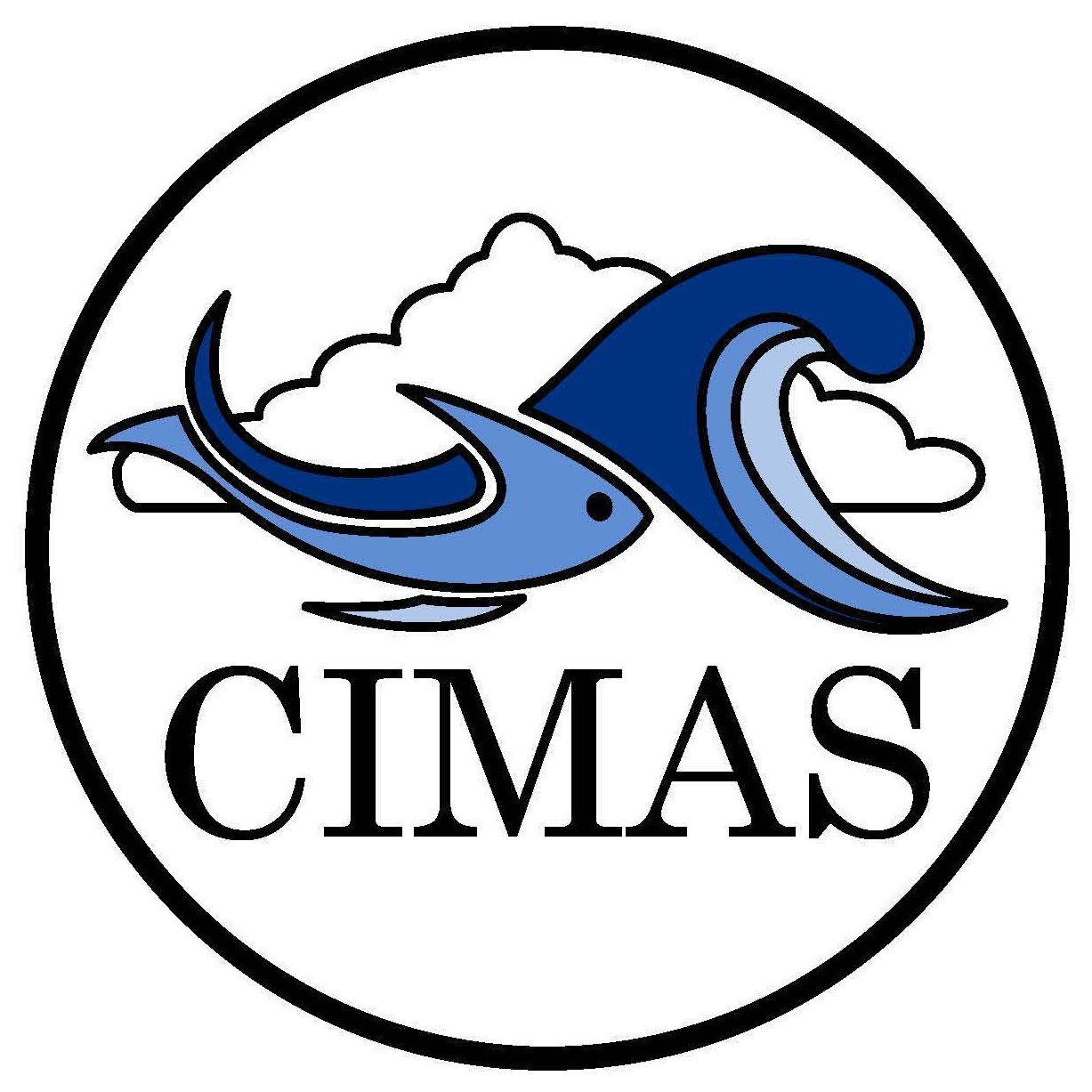 Cimas Digital: A Plataforma de Ensino Online para Profissionais da Saúde