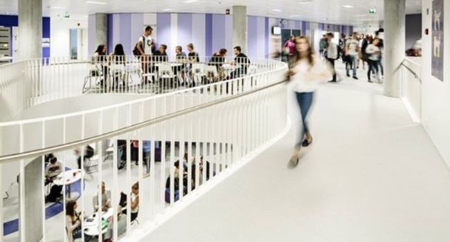 Aprendizagem Baseada em Fenômenos: O que é e como aplicar?