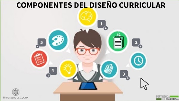 Novo Ensino Médio: Tudo sobre Itinerários Formativos e Componentes Eletivos