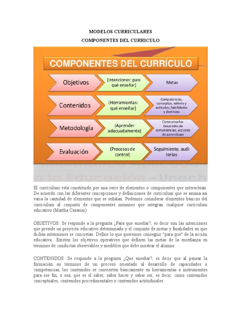 Educação Infantil: Os Campos de Experiência e seu Papel no Desenvolvimento