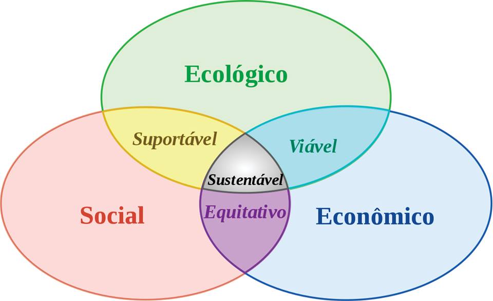 sustentabilidade versus desenvolvimento sustentável diferenças