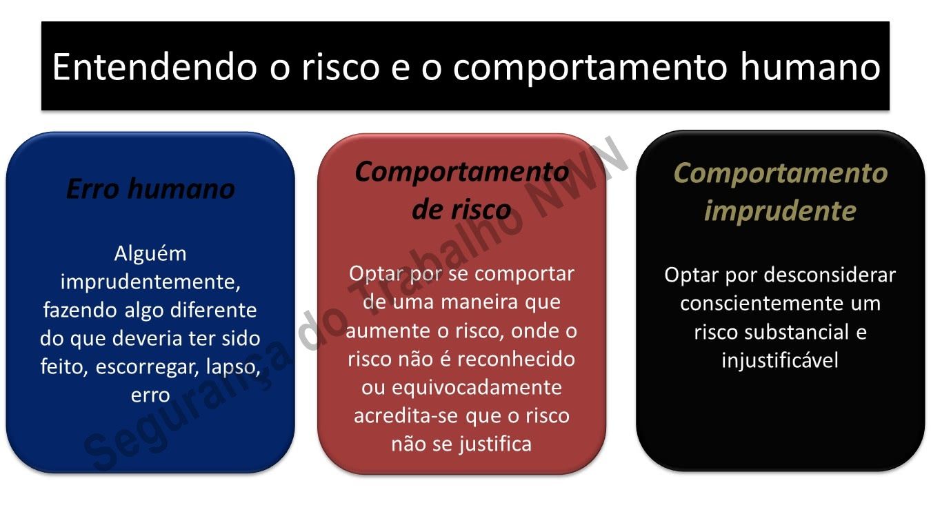 Segurança Psicológica: O Alicerce da Cultura do Erro