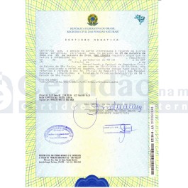 Quanto Custa e Quanto Tempo Leva um Processo de Curatela no Brasil?