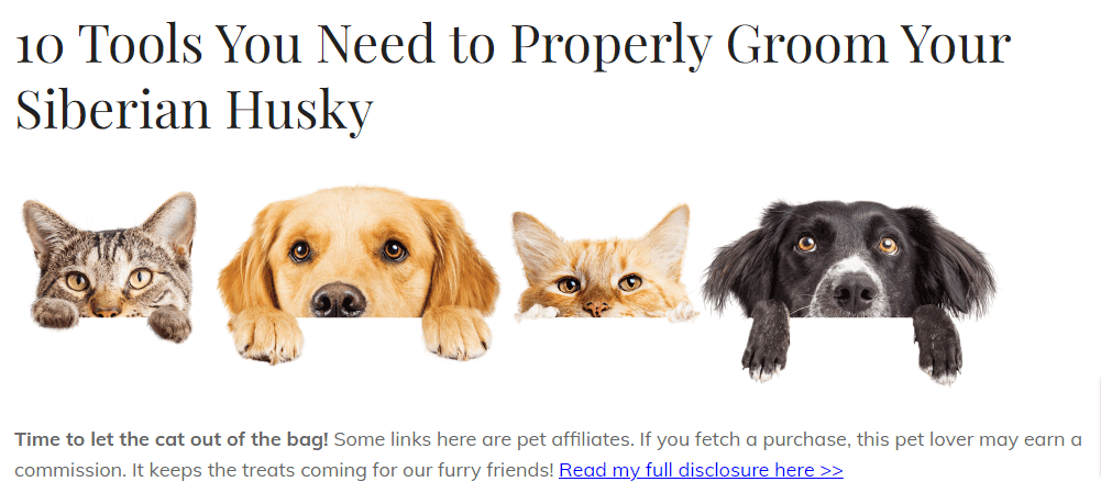 divulgar produtos no telegram