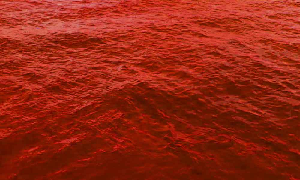 Estudos de Caso: Empresas que Migraram do Oceano Vermelho para o Azul