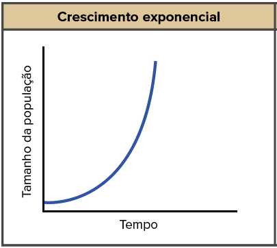 crescimento linear versus exponencial qual a diferença