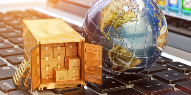 gestão de expatriados