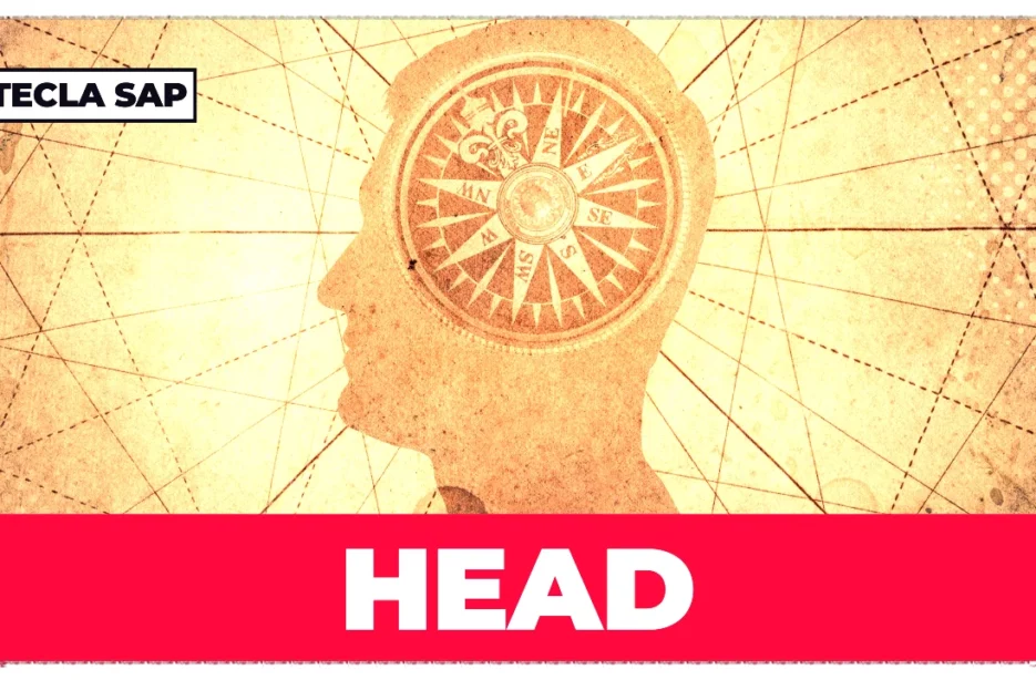head significado