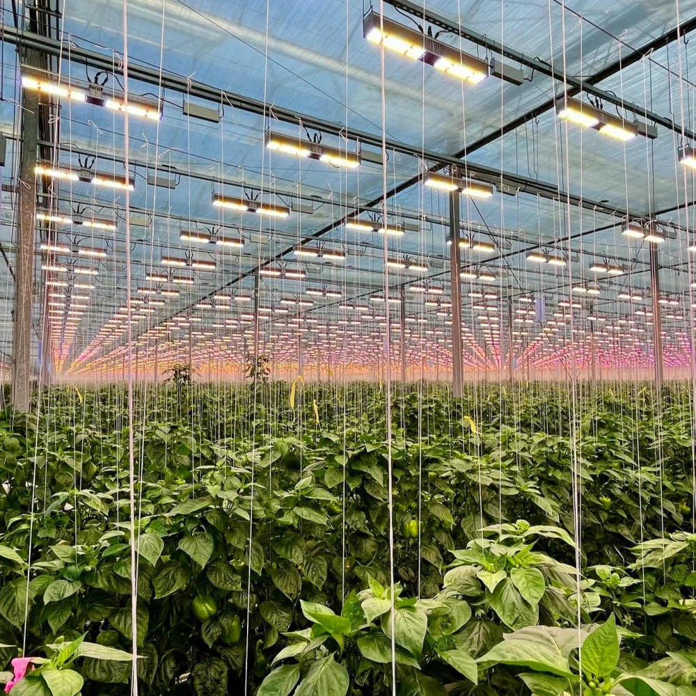 Iluminação LED para agricultura