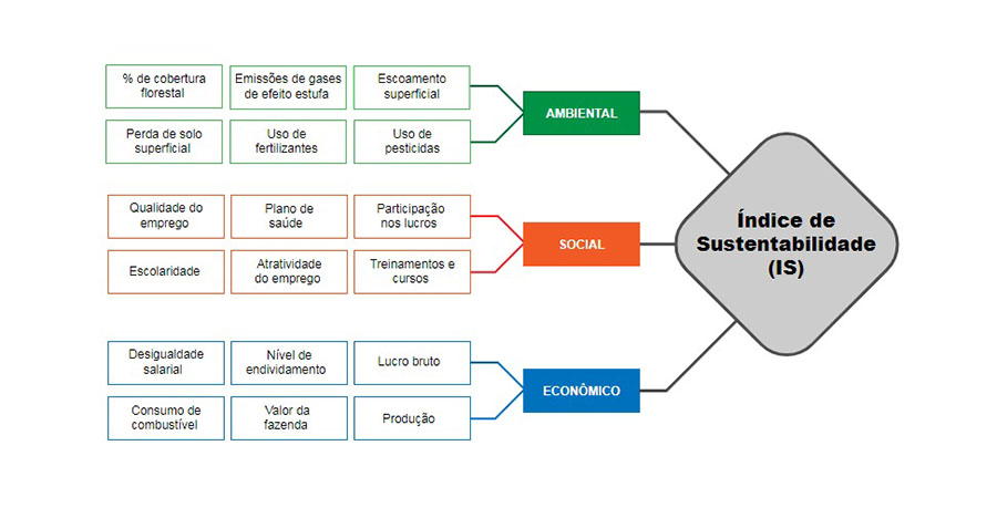 USP e a Liderança em Sustentabilidade: O Papel das Universidades