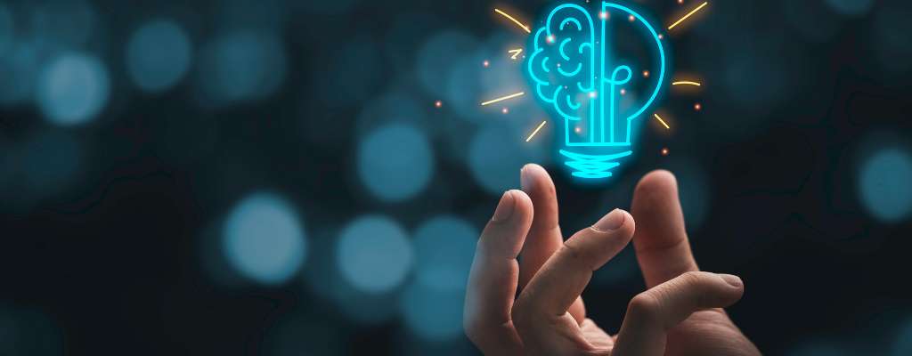 Estudo de Caso: O Modelo de Transparência da Everlane e Seus Impactos