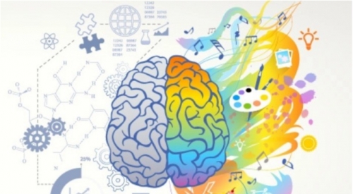 Como Criar uma Cultura de Experimentação e Inovação na Sua Empresa