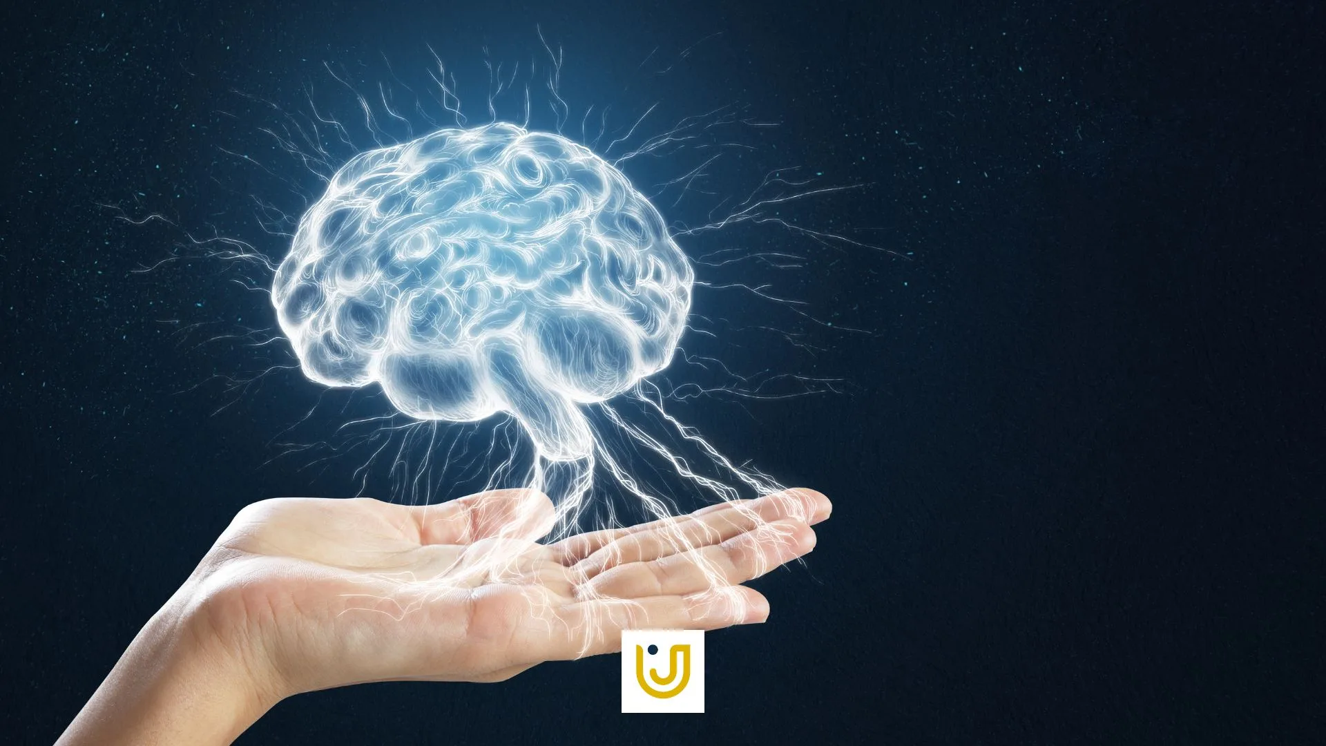 CISM e o futuro da pesquisa em saúde mental no Brasil