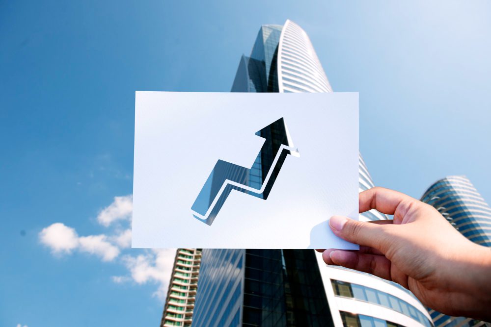 CVM e o Papel da Regulação no Processo de Abertura de Capital