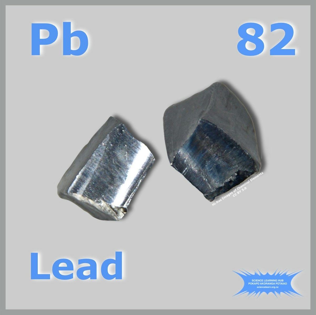 tipos de lead