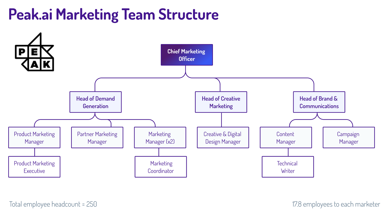 marketing team