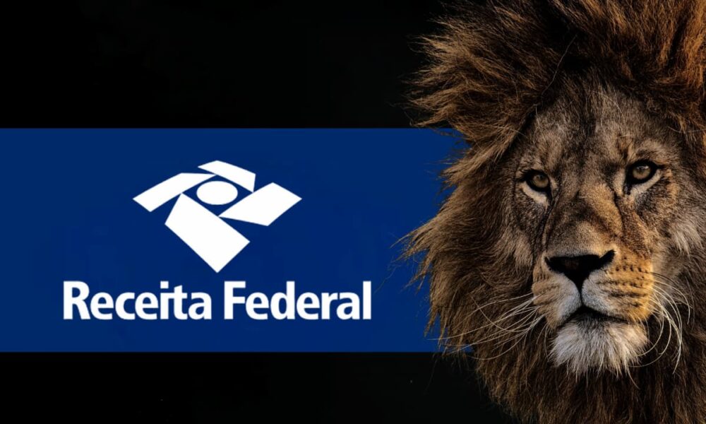 contabeis mei imposto de renda