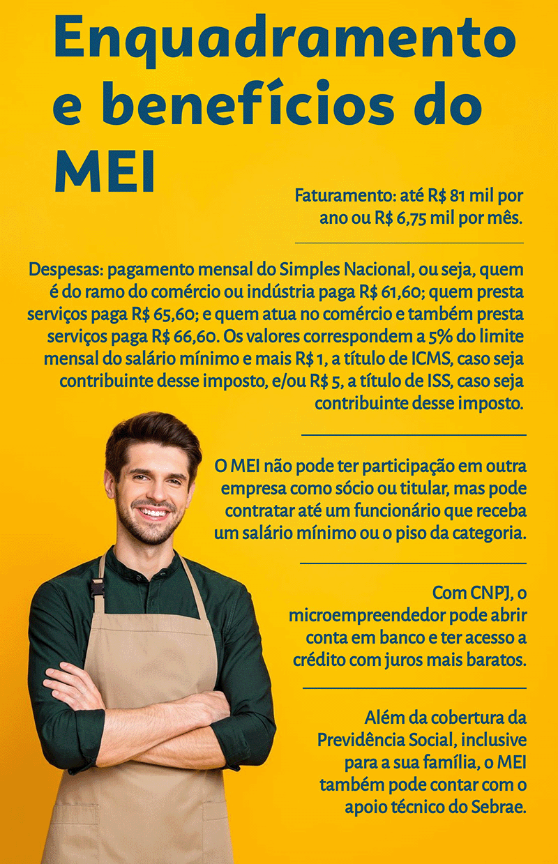 exemplos de empresas com socio para quem era MEI