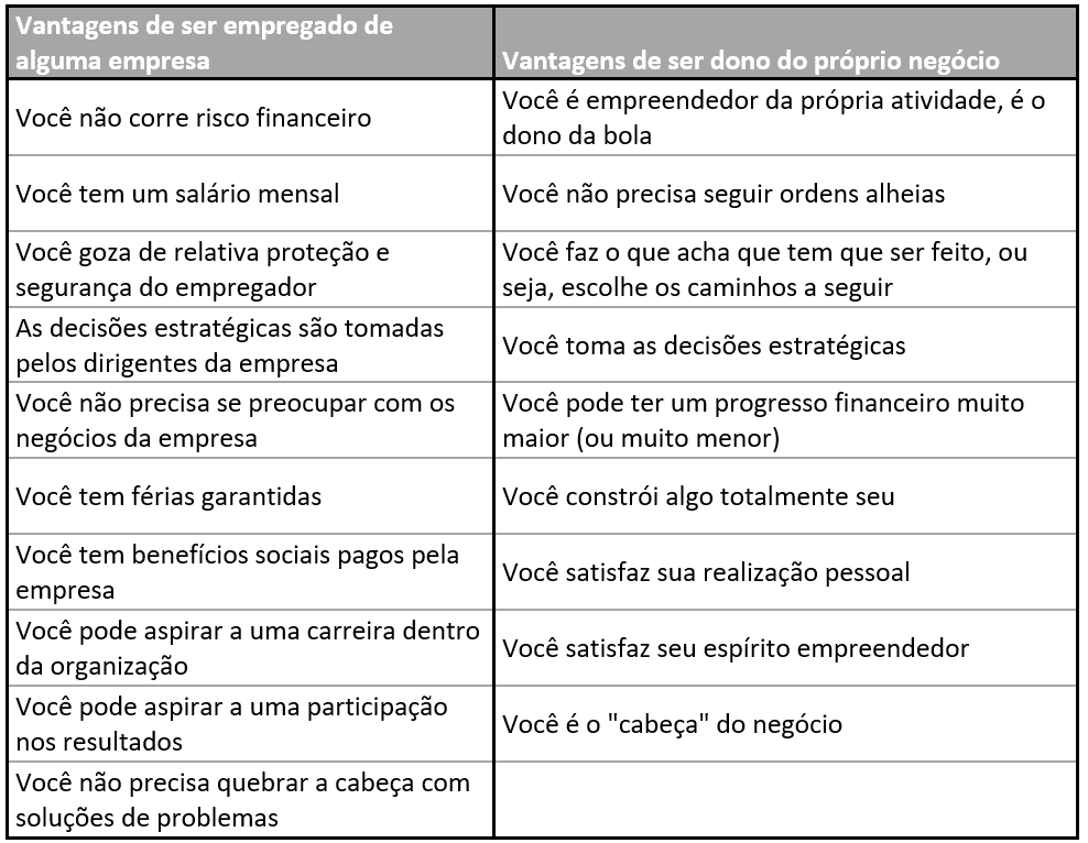 mei vantagens e desvantagens