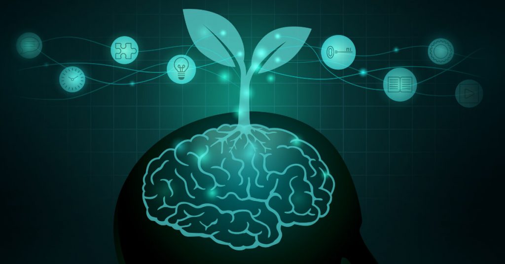 Mindset de crescimento e inovação