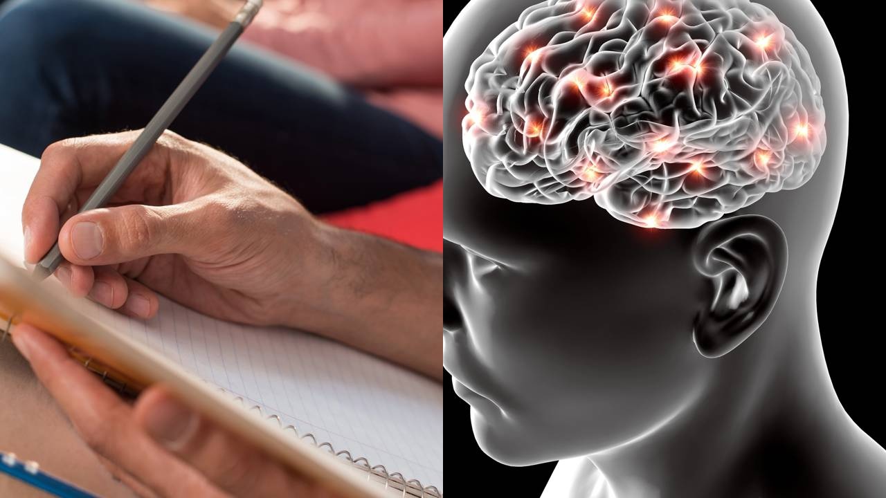 Neurodidática: Inovando o Processo de Aprendizagem com a Neurociência