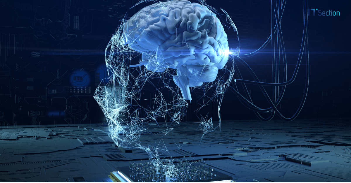 neurociência e inovação