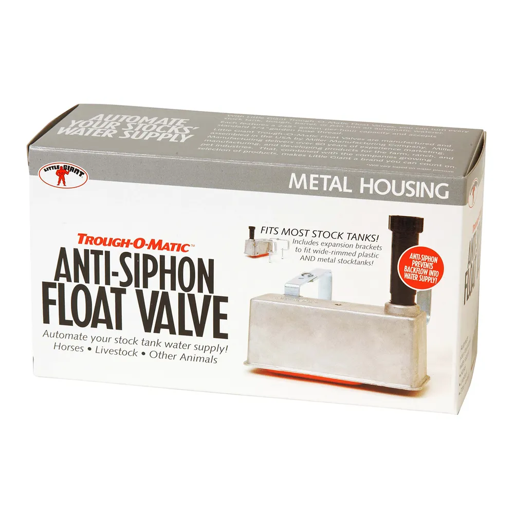 Tipos de Dados em Programação: Desvendando o Float