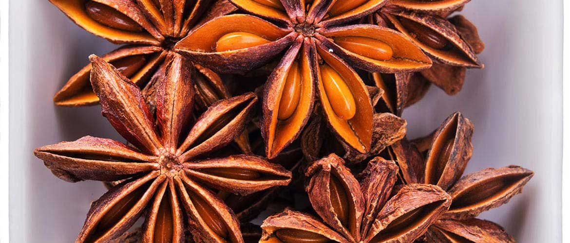 10 receitas incriveis com anis estrelado
