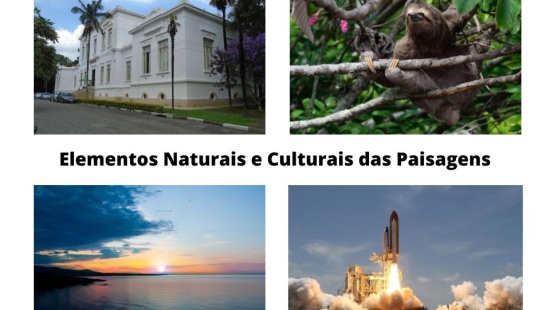 erros ao ignorar a import芒ncia dos elementos culturais