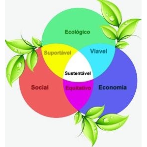 diferença sustentabilidade e desenvolvimento sustentável