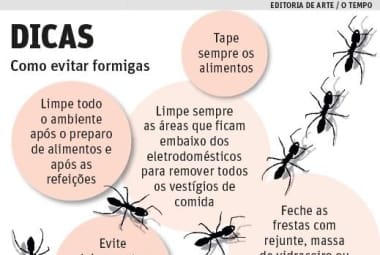 o que significa muita formiga em casa