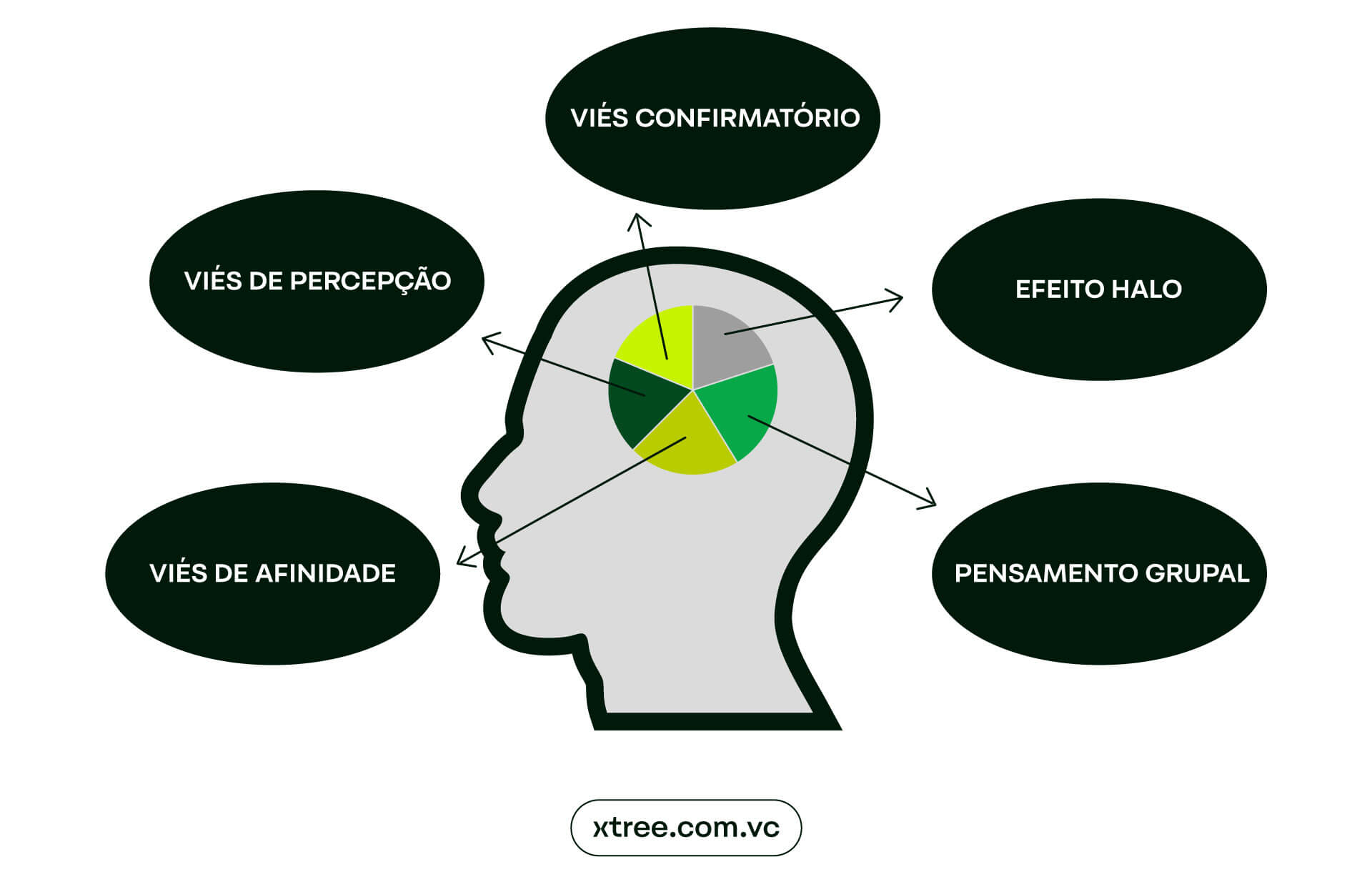 Como o Viés de Confirmação Afeta Suas Decisões Diárias