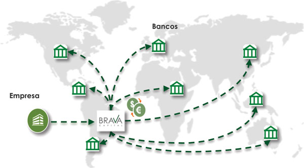 Corretoras ou Plataformas Digitais?