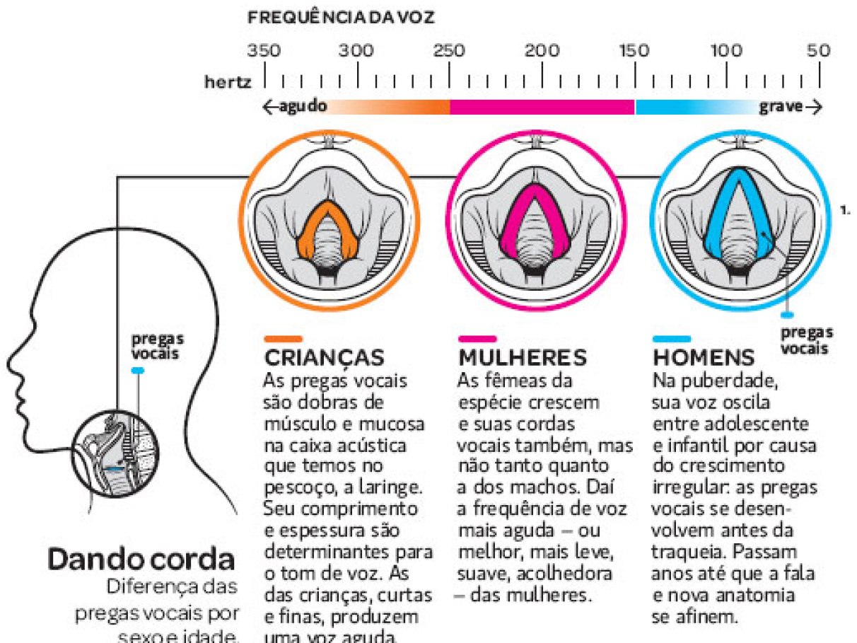Glotoplastia de Wendler em SP: Tudo o que Você Precisa Saber Antes da Cirurgia