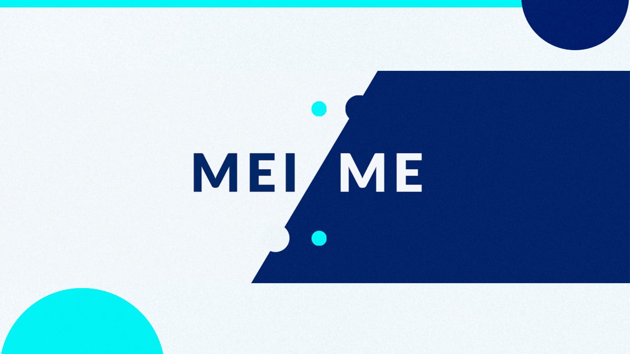 Vantagens e desvantagens de ser ME