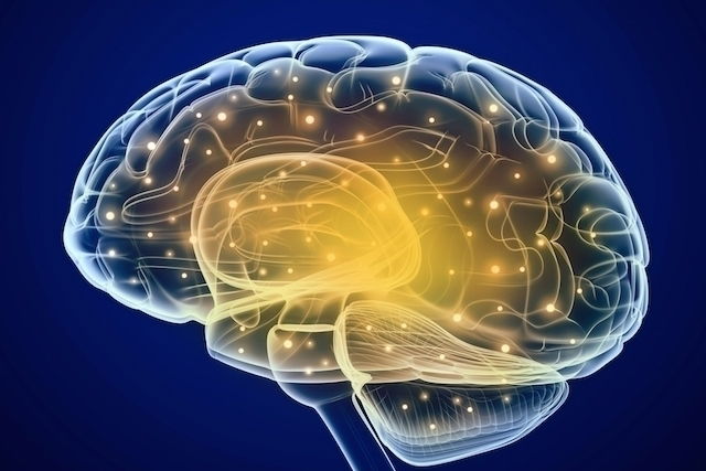 diferença qi e inteligencia emocional