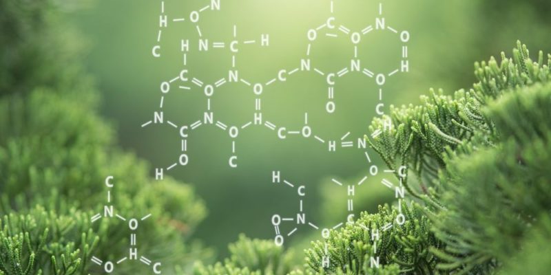 Nomenclatura IUPAC Simplificada: Dando Nome às Moléculas Orgânicas