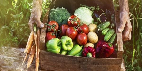 Datas comemorativas para vendas