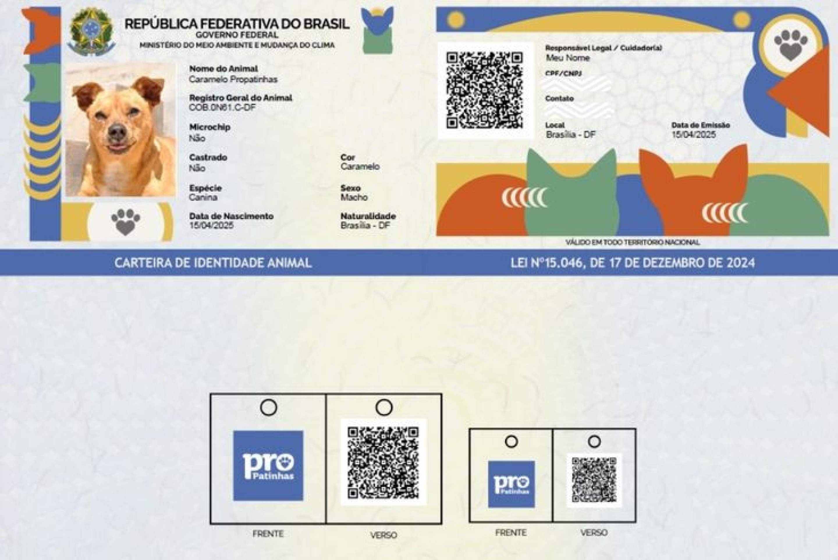 LGPD na Pet Tech: O que sua empresa precisa saber