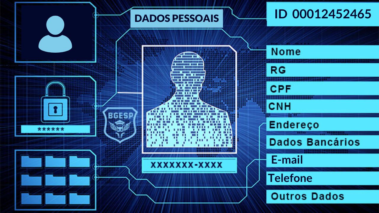 Guia Completo: Seus Direitos de Proteção de Dados em São Paulo